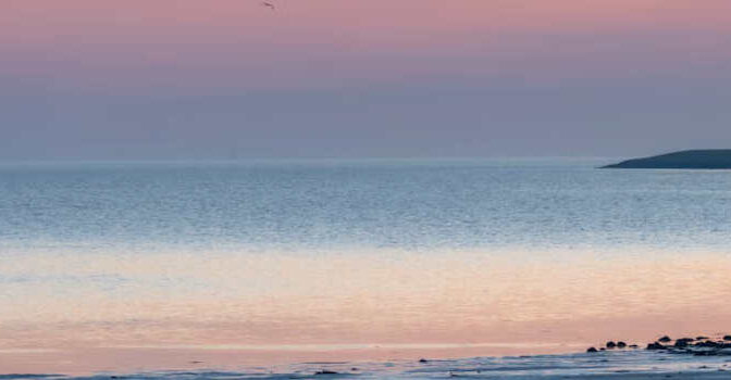 Nieuwe Waddenthrillers