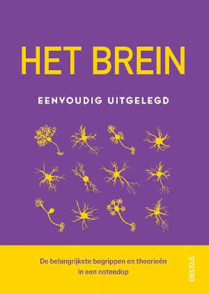 Rita Carter Het brein eenvoudig uitgelegd