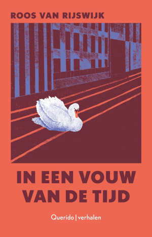 Roos van Rijswijk In een vouw van de tijd recensie