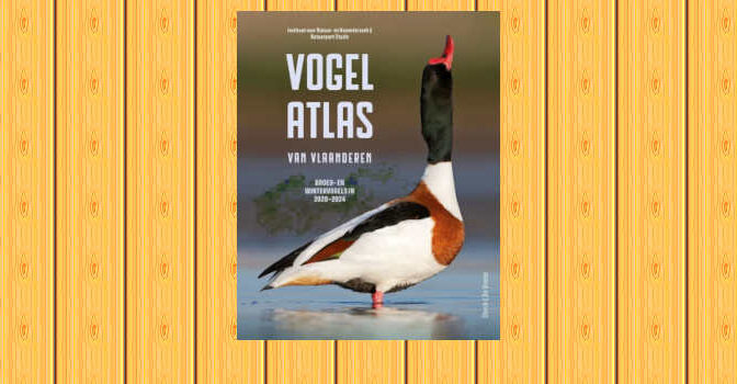 Vogelatlas van Vlaanderen broed- en wintervogels in 2020-2024